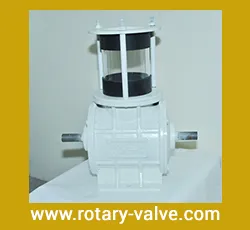 Rotary valves for food applications